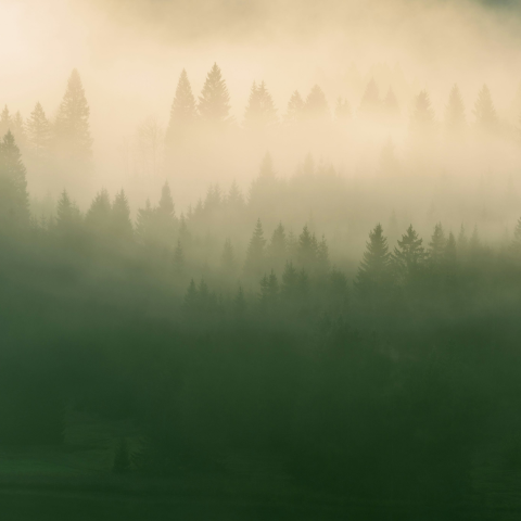 Schatten der Zeit